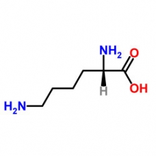 лизин -L