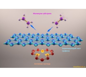 ГРАФЕН И МОЛЕКУЛЯРНОЕ ЭКРАНИРОВАНИЕ